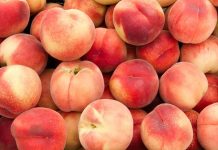 Peach Benefits for Health: Unlocking Nature’s Nutritional Treasure Peach Benefits for health