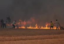 Wildfire Near Turkey’s Izmir Airport Halts Flights Wildfire Near Turkey's Izmir Airport Halts Flights